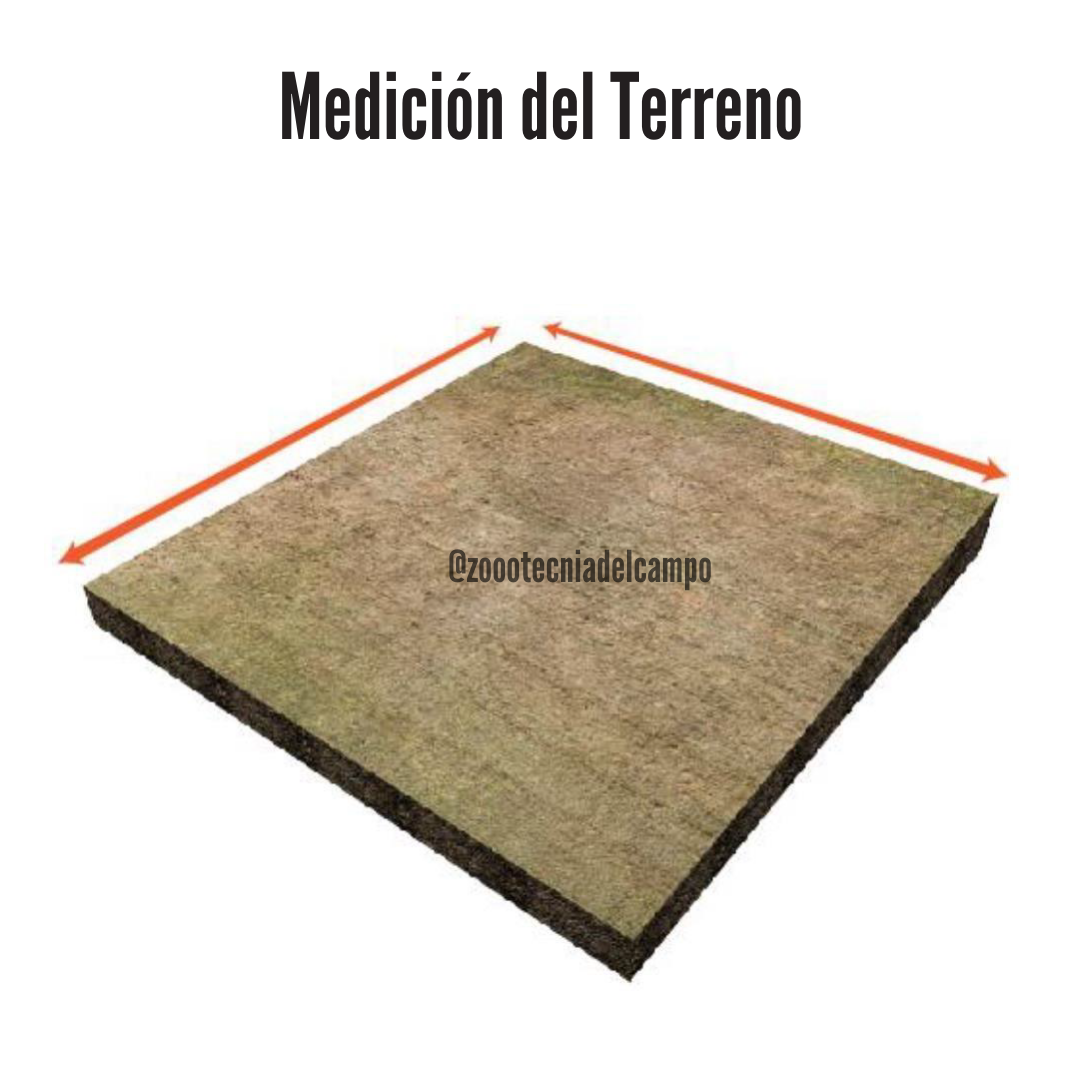 medicion del terreno (2)