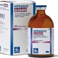Hiprasuis Glasser