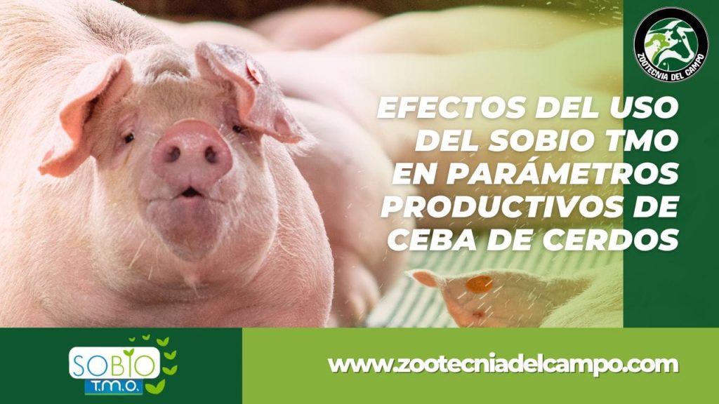 Efectos del uso del Sobio TMO en parámetros productivos en la ceba de cerdos