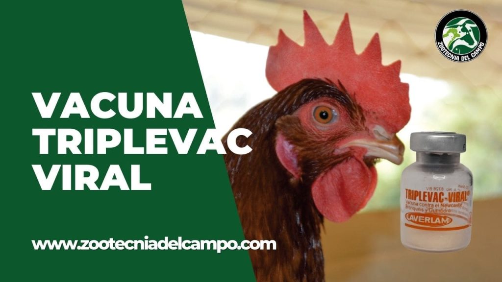 Vacuna Triplevac Viral