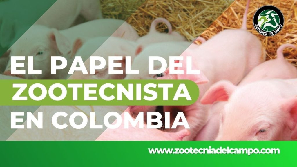 El papel del Zootecnista en Colombia